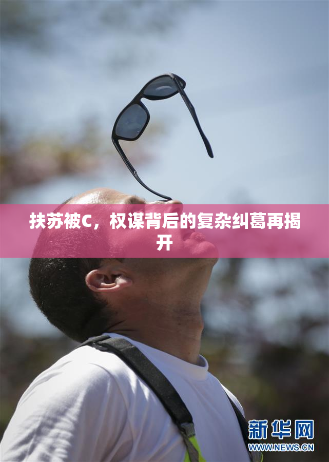 扶苏被C，权谋背后的复杂纠葛再揭开