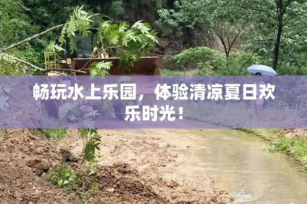 畅玩水上乐园，体验清凉夏日欢乐时光！