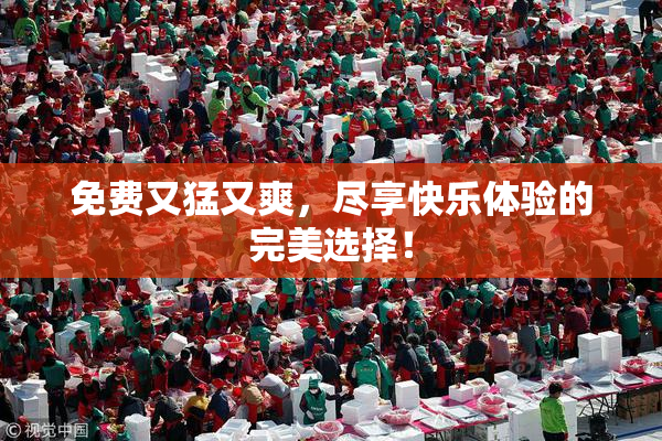 免费又猛又爽，尽享快乐体验的完美选择！