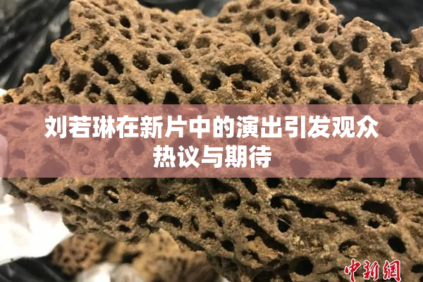刘若琳在新片中的演出引发观众热议与期待