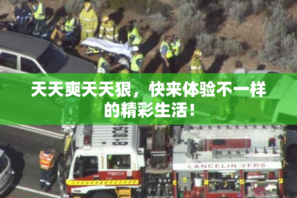 天天爽天天狠，快来体验不一样的精彩生活！