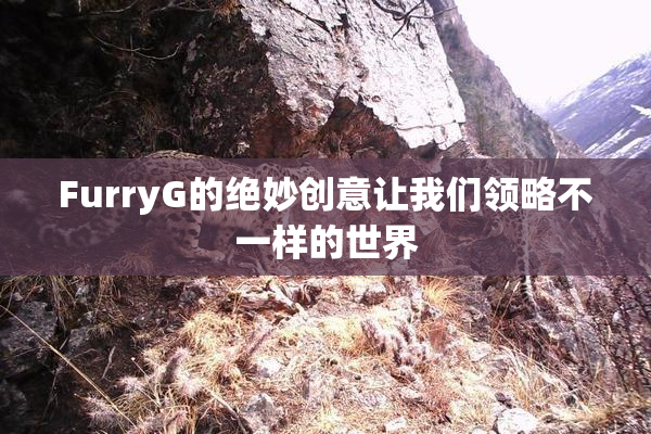 FurryG的绝妙创意让我们领略不一样的世界