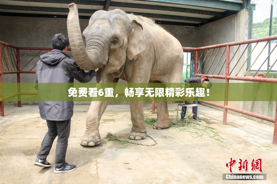 免费看6重，畅享无限精彩乐趣！