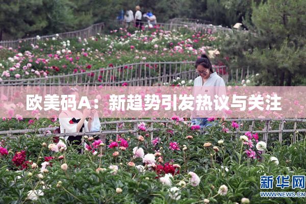 欧美码A：新趋势引发热议与关注