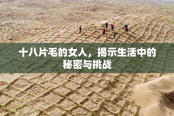 十八片毛的女人，揭示生活中的秘密与挑战