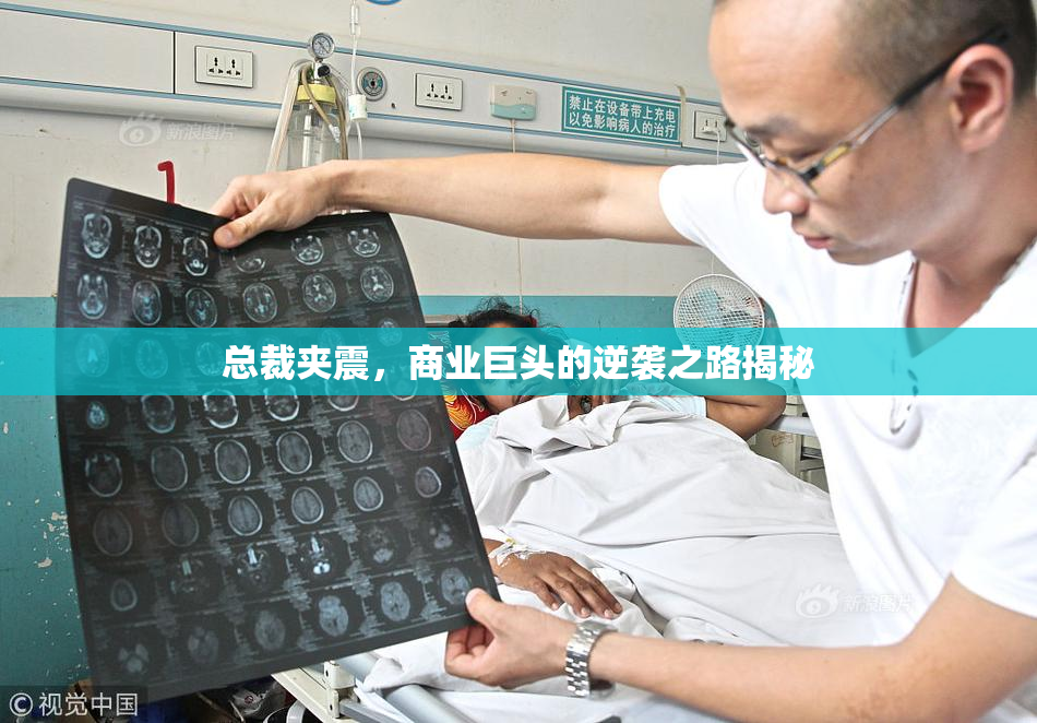 总裁夹震，商业巨头的逆袭之路揭秘