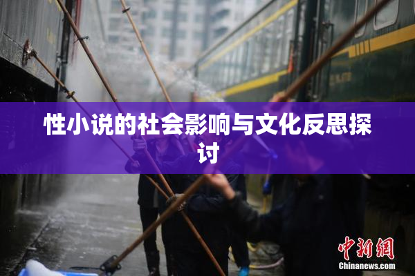 性小说的社会影响与文化反思探讨