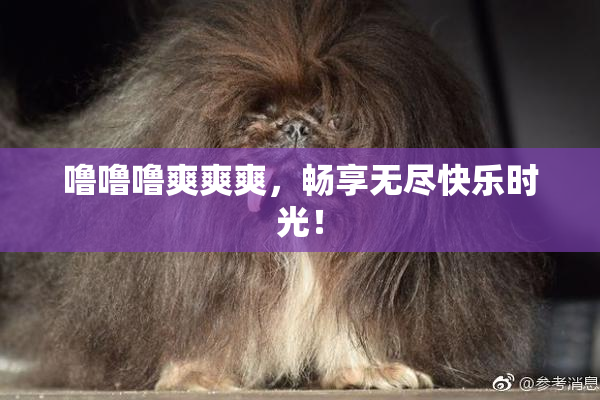 噜噜噜爽爽爽，畅享无尽快乐时光！