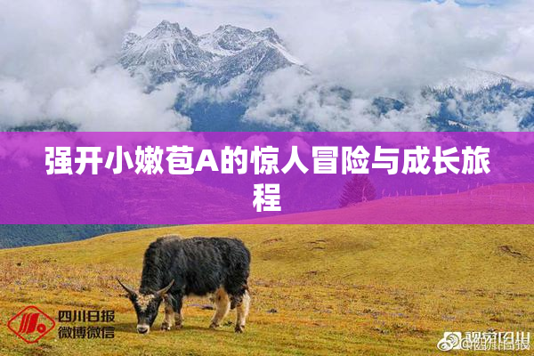 强开小嫩苞A的惊人冒险与成长旅程