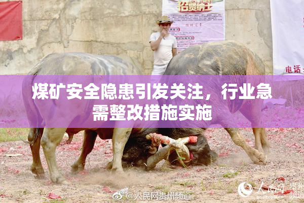 煤矿安全隐患引发关注，行业急需整改措施实施