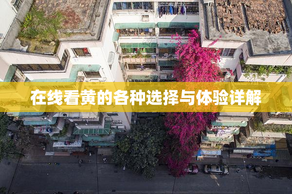在线看黄的各种选择与体验详解