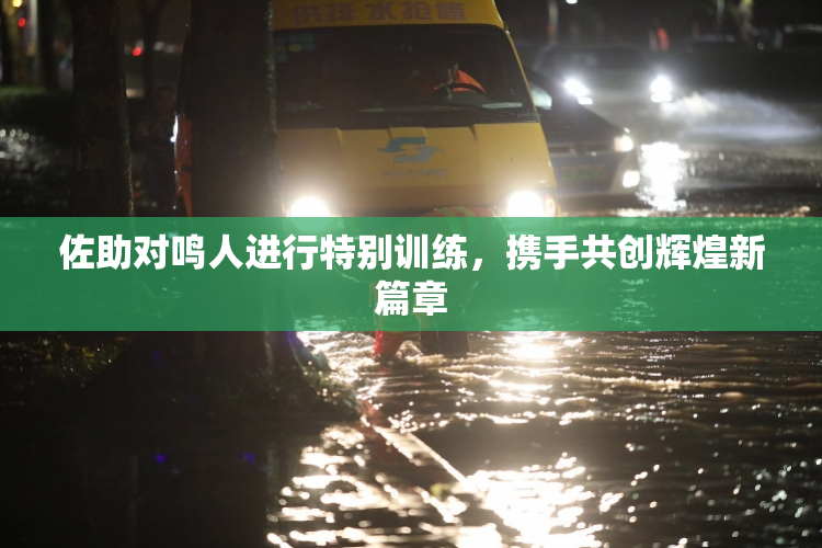 佐助对鸣人进行特别训练，携手共创辉煌新篇章