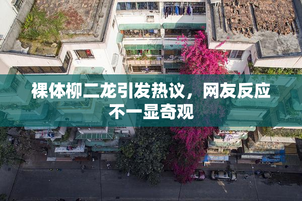 裸体柳二龙引发热议，网友反应不一显奇观