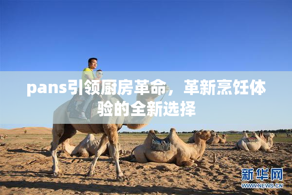pans引领厨房革命，革新烹饪体验的全新选择