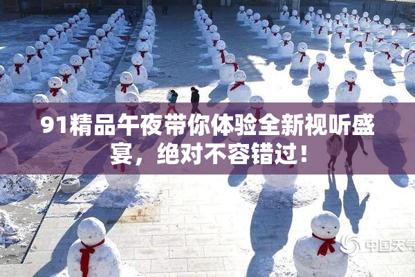 91精品午夜带你体验全新视听盛宴，绝对不容错过！