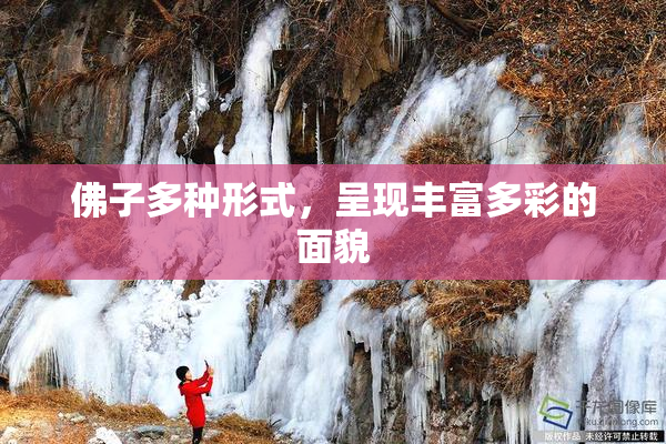 佛子多种形式，呈现丰富多彩的面貌