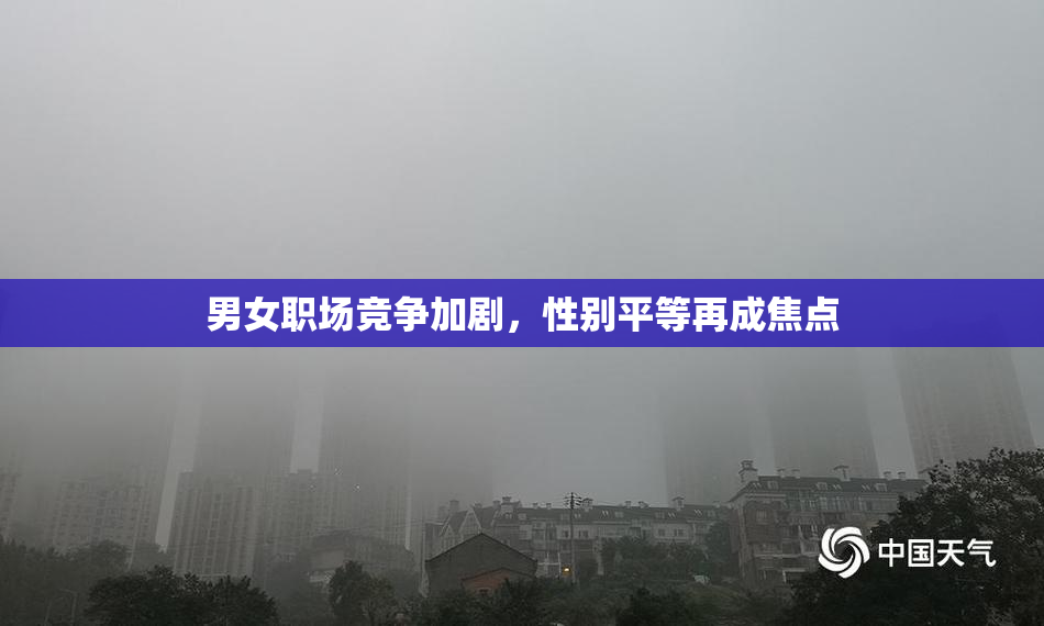 男女职场竞争加剧，性别平等再成焦点