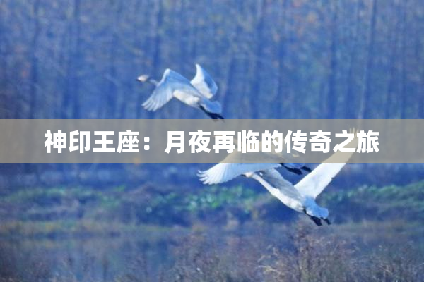 神印王座：月夜再临的传奇之旅