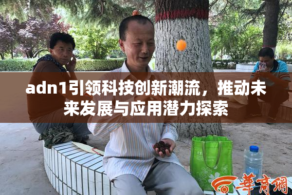 adn1引领科技创新潮流，推动未来发展与应用潜力探索