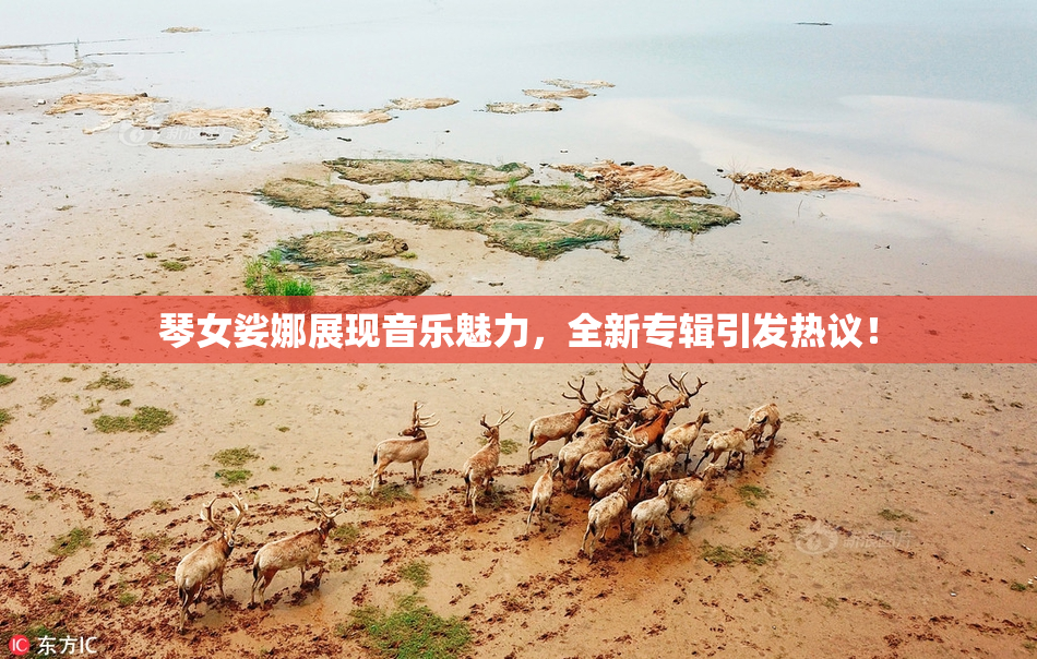 琴女娑娜展现音乐魅力，全新专辑引发热议！