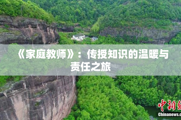 《家庭教师》：传授知识的温暖与责任之旅