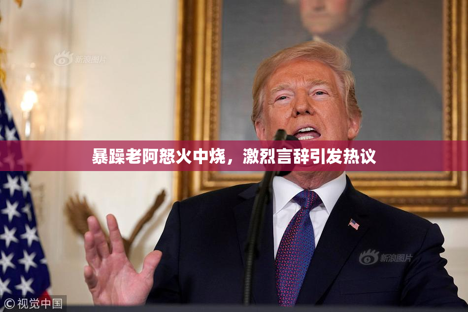 暴躁老阿怒火中烧，激烈言辞引发热议
