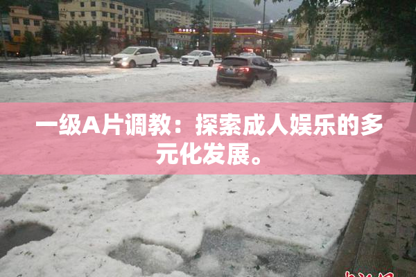 一级A片调教：探索成人娱乐的多元化发展。