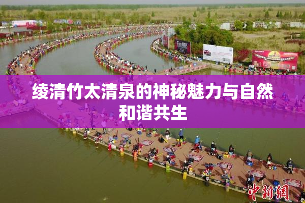 绫清竹太清泉的神秘魅力与自然和谐共生