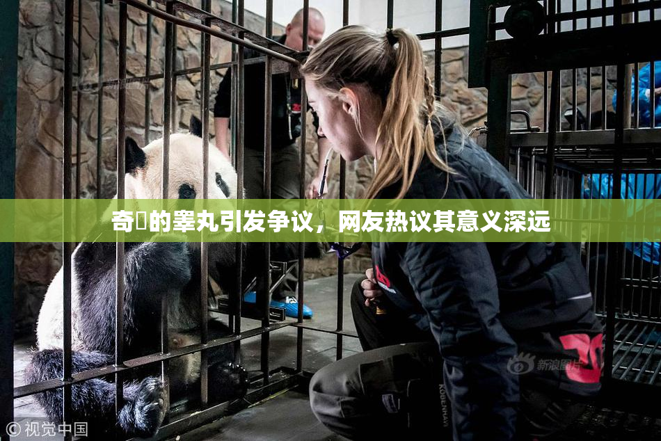 奇犽的睾丸引发争议，网友热议其意义深远