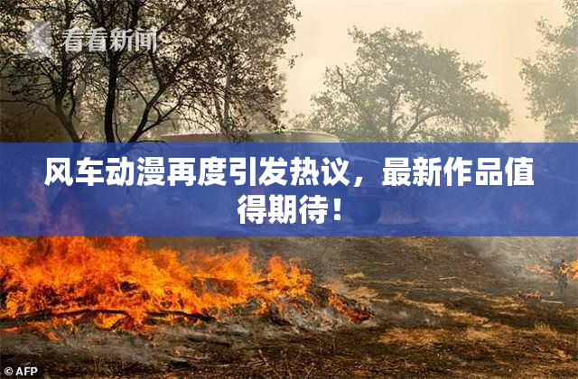 风车动漫再度引发热议，最新作品值得期待！