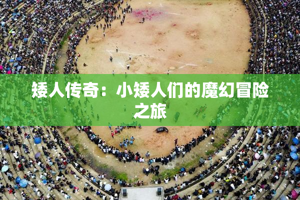 矮人传奇：小矮人们的魔幻冒险之旅