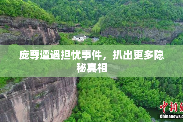 庞尊遭遇担忧事件，扒出更多隐秘真相