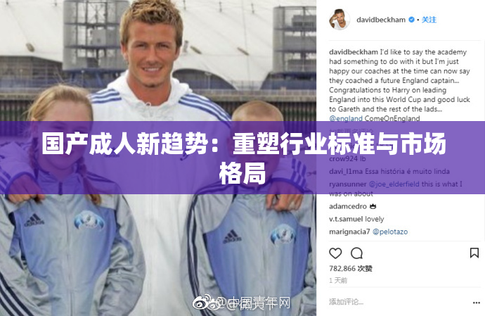 国产成人新趋势：重塑行业标准与市场格局
