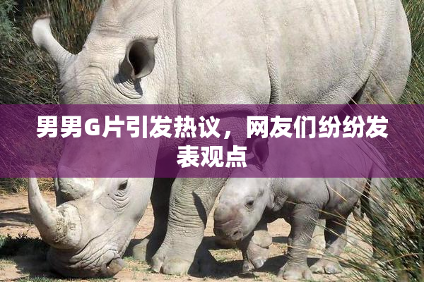 男男G片引发热议，网友们纷纷发表观点