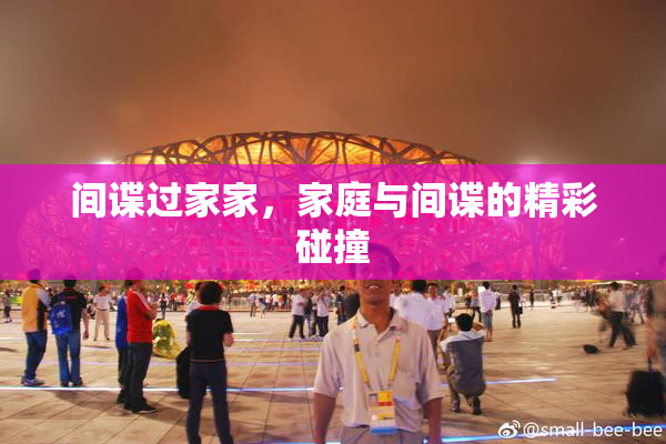 间谍过家家，家庭与间谍的精彩碰撞
