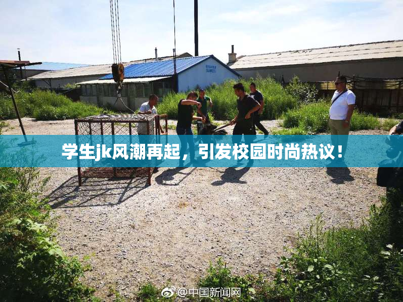 学生jk风潮再起，引发校园时尚热议！