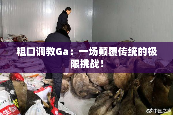 粗口调教Ga：一场颠覆传统的极限挑战！