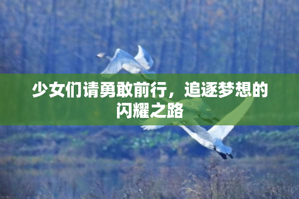 少女们请勇敢前行，追逐梦想的闪耀之路