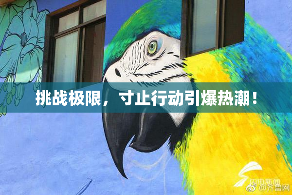 挑战极限，寸止行动引爆热潮！