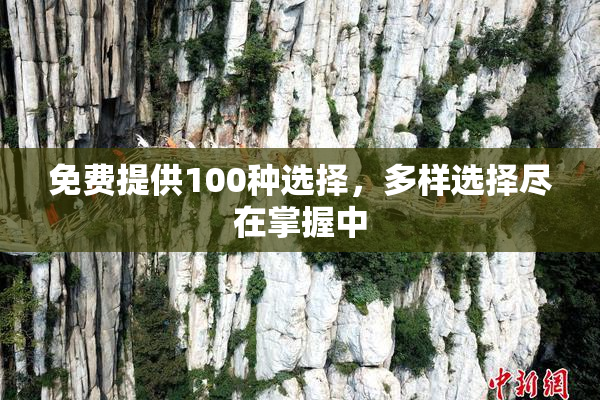 免费提供100种选择，多样选择尽在掌握中