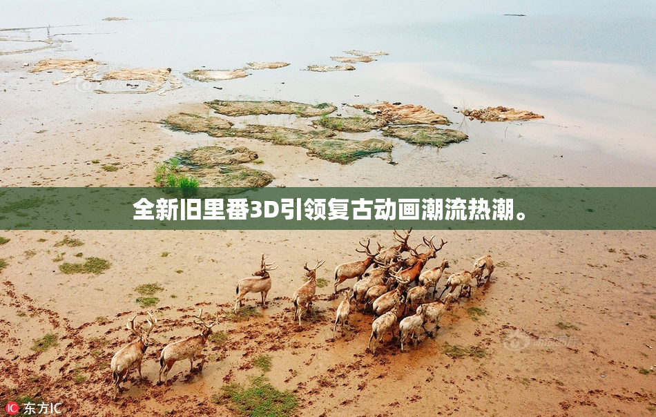 全新旧里番3D引领复古动画潮流热潮。