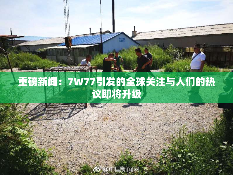重磅新闻：7W77引发的全球关注与人们的热议即将升级