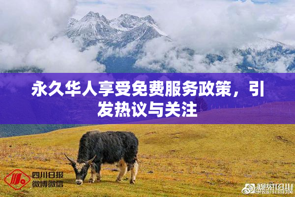 永久华人享受免费服务政策，引发热议与关注
