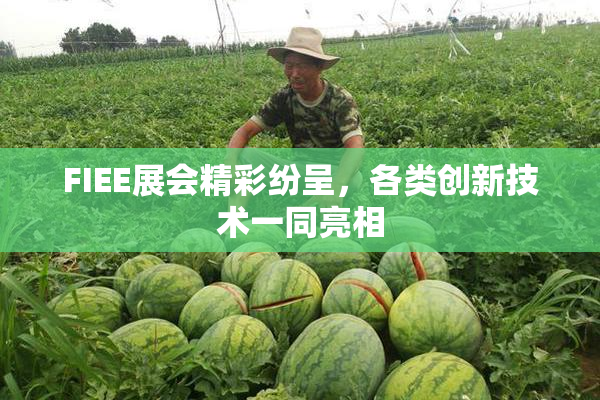 FIEE展会精彩纷呈，各类创新技术一同亮相