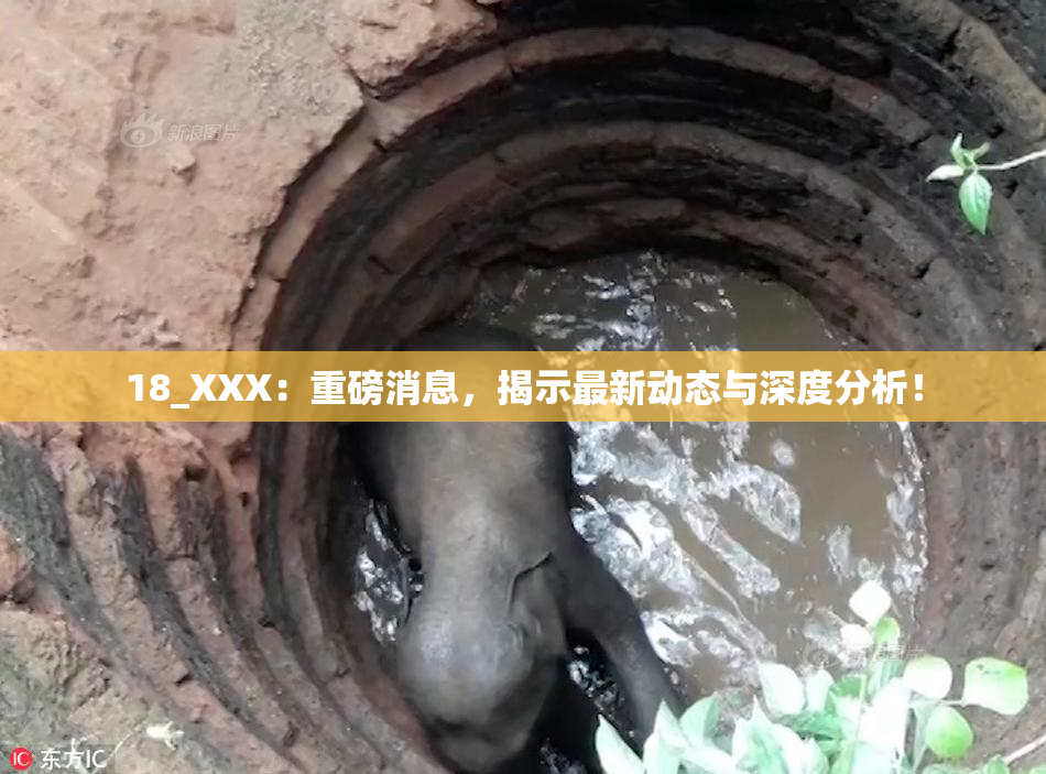 18_XXX：重磅消息，揭示最新动态与深度分析！