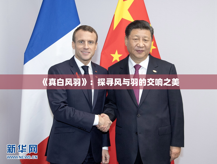 《真白风羽》：探寻风与羽的交响之美