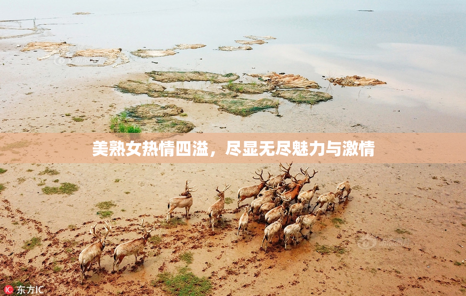 美熟女热情四溢，尽显无尽魅力与激情