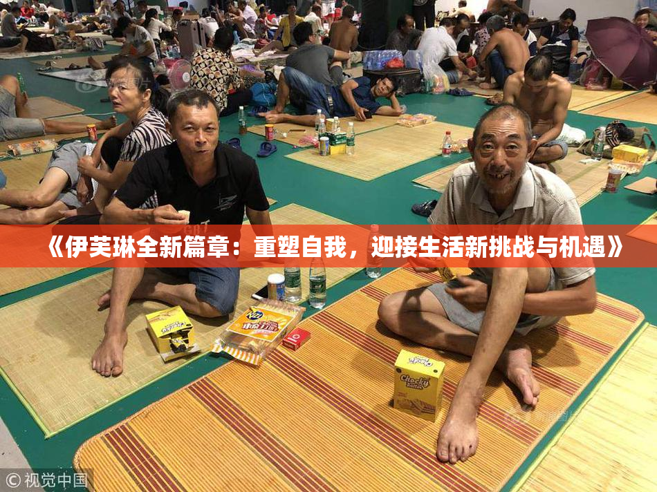 《伊芙琳全新篇章：重塑自我，迎接生活新挑战与机遇》