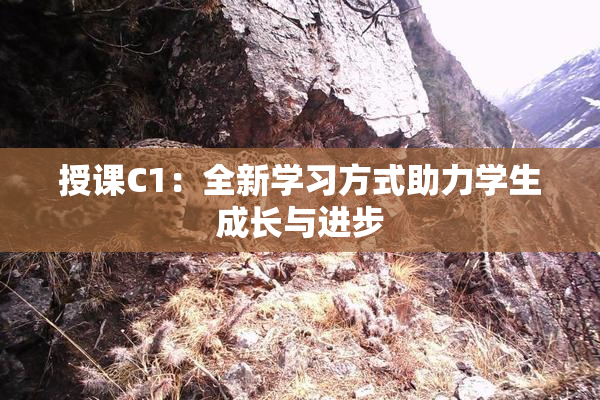 授课C1：全新学习方式助力学生成长与进步