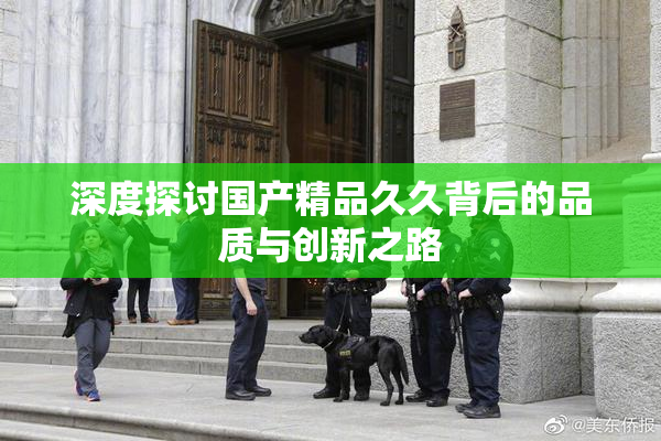 深度探讨国产精品久久背后的品质与创新之路